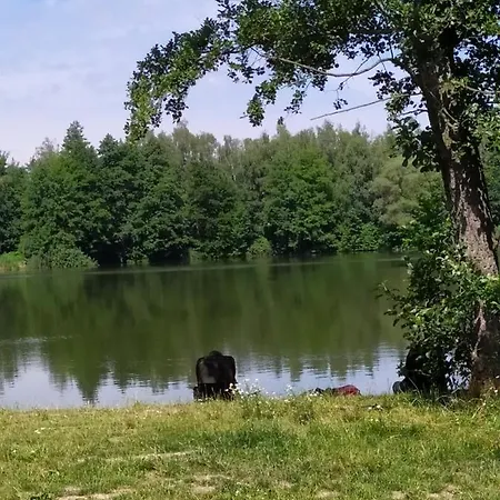 Podkrovni V Prirode, Vhodny K Relaxaci I Na Sluzebni Cesty Hotel