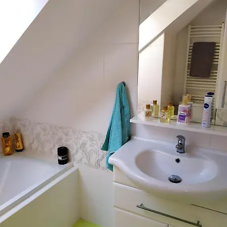 Hotel Podkrovni V Prirode, Vhodny K Relaxaci I Na Sluzebni Cesty