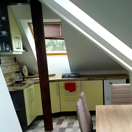 Podkrovní Apartmán V Přírodě, Vhodný K Relaxaci I Na Služební Cesty Cerna u Bohdance